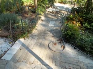 This Walk Way is right outside the East Side of the Green House