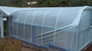 East Wall of New Green House with Plastic installed.